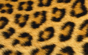 ws_Leopard_Skin_1280x800