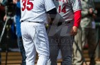 gardy
