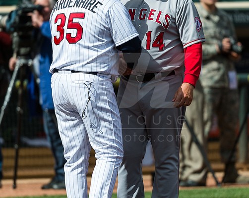 gardy
