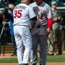 gardy